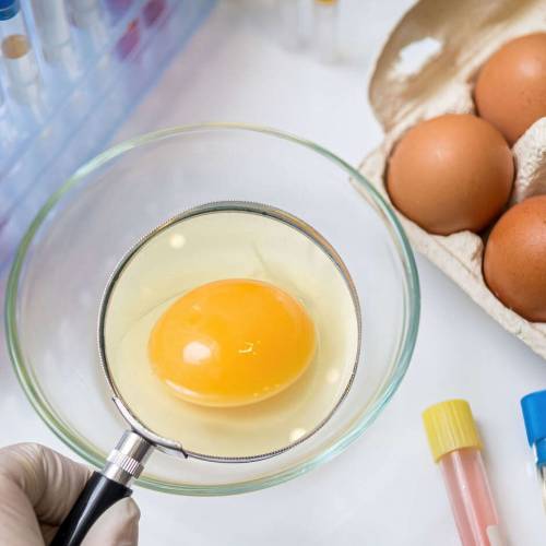 В Нижегородской испытательной лаборатории ФГБУ “ВНИИЗЖ” выявили наличие небезопасных химических элементов в курином яйце