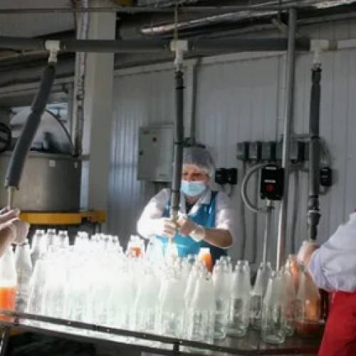 Директор Нижегородского филиала презентовал услуги ФГБУ «ВНИИЗЖ» одному из нижегородских производителей молочной продукции
