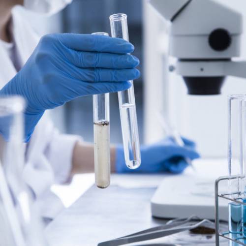Сотрудники Нижегородского филиала  ФГБУ «ВНИИЗЖ» провели экскурсию для студентов факультета агроэкологии
